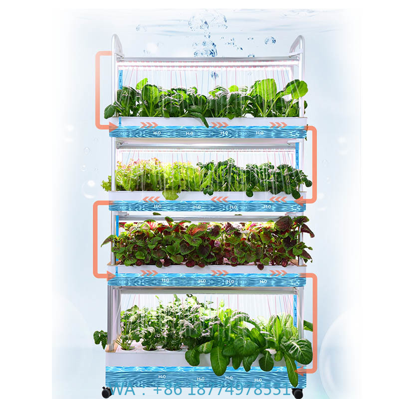 Système de plantation ydroponi - Smart Home Automation Diy avis et prix